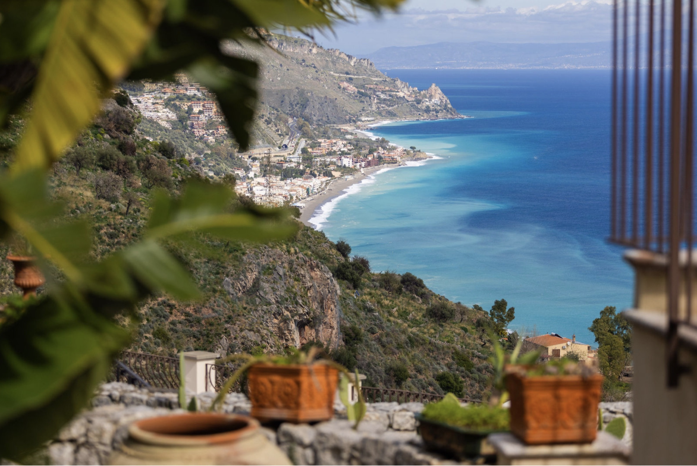 The coast through the palms